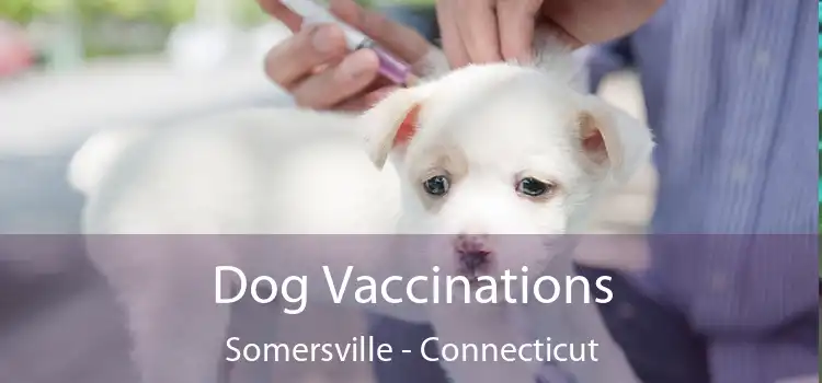 Dog Vaccinations Somersville - Connecticut