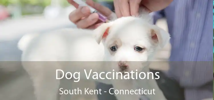 Dog Vaccinations South Kent - Connecticut