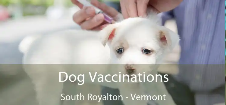 Dog Vaccinations South Royalton - Vermont