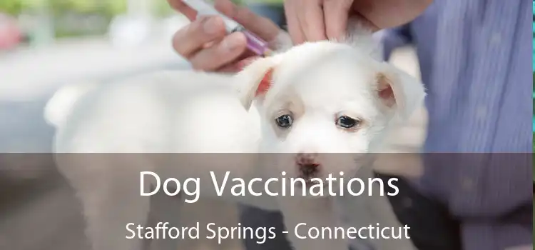 Dog Vaccinations Stafford Springs - Connecticut