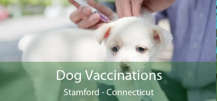 Dog Vaccinations Stamford - Connecticut