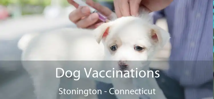 Dog Vaccinations Stonington - Connecticut