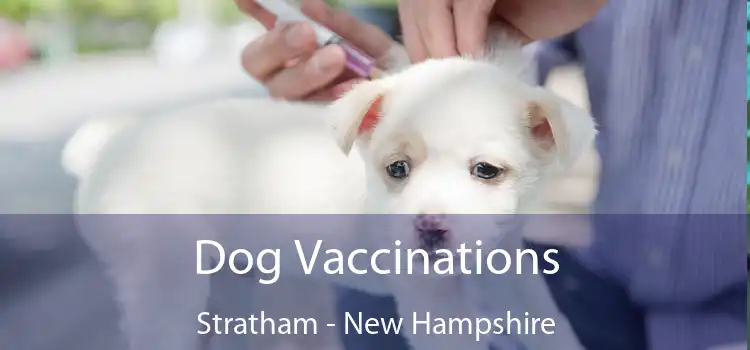 Dog Vaccinations Stratham - New Hampshire