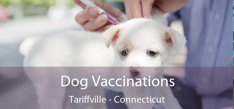 Dog Vaccinations Tariffville - Connecticut