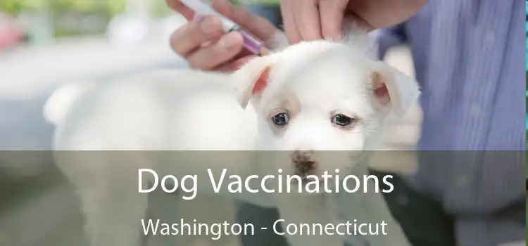 Dog Vaccinations Washington - Connecticut