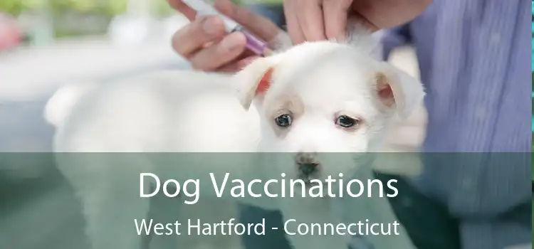 Dog Vaccinations West Hartford - Connecticut