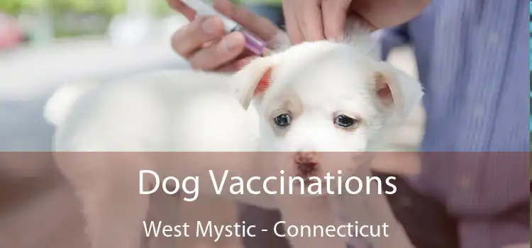 Dog Vaccinations West Mystic - Connecticut