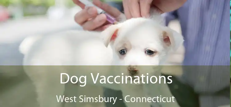 Dog Vaccinations West Simsbury - Connecticut