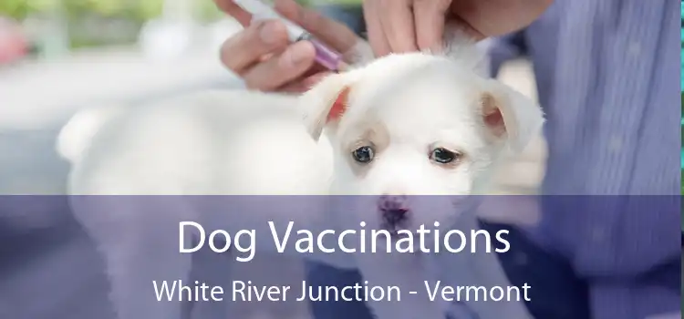 Dog Vaccinations White River Junction - Vermont