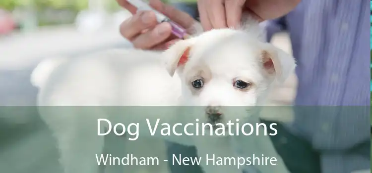 Dog Vaccinations Windham - New Hampshire