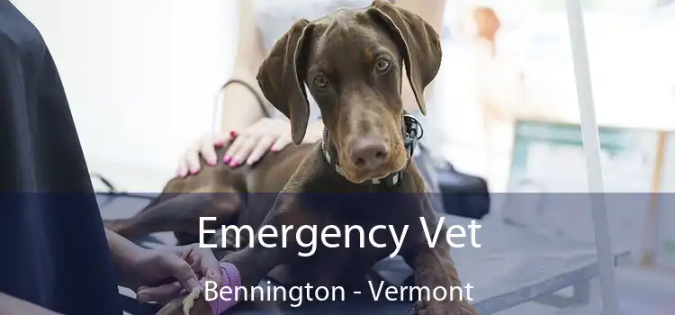 Emergency Vet Bennington - Vermont