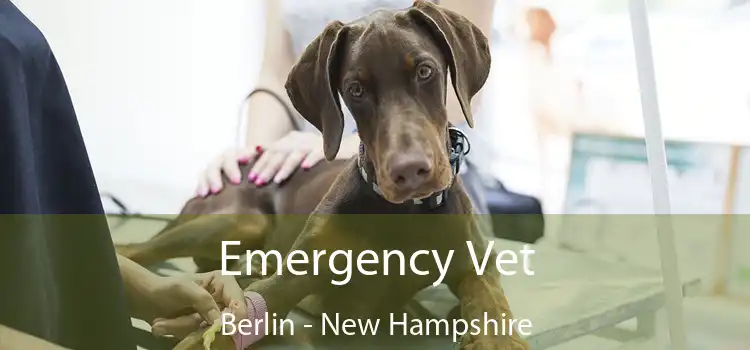 Emergency Vet Berlin - New Hampshire