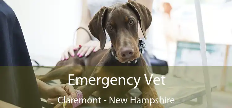 Emergency Vet Claremont - New Hampshire