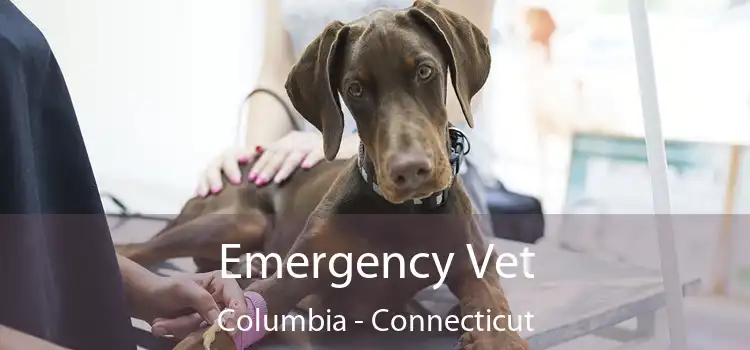 Emergency Vet Columbia - Connecticut