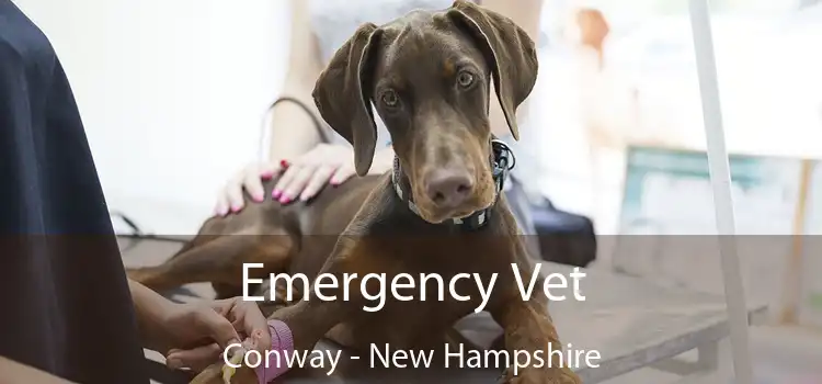 Emergency Vet Conway - New Hampshire