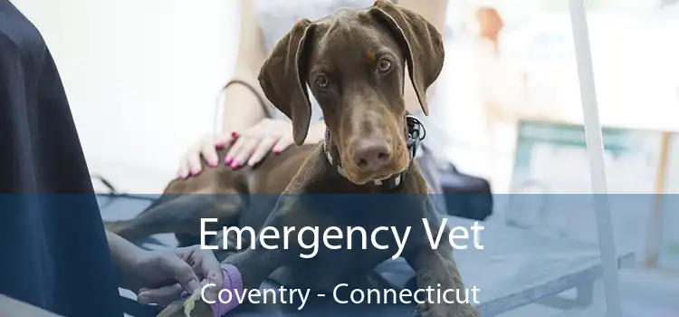 Emergency Vet Coventry - Connecticut