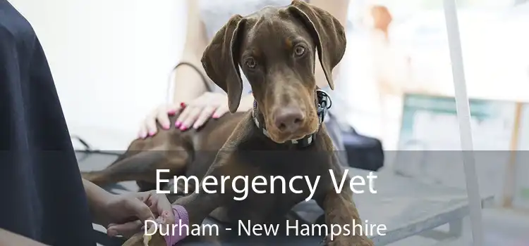 Emergency Vet Durham - New Hampshire