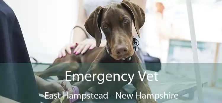 Emergency Vet East Hampstead - New Hampshire