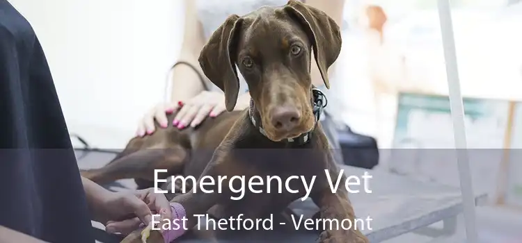 Emergency Vet East Thetford - Vermont