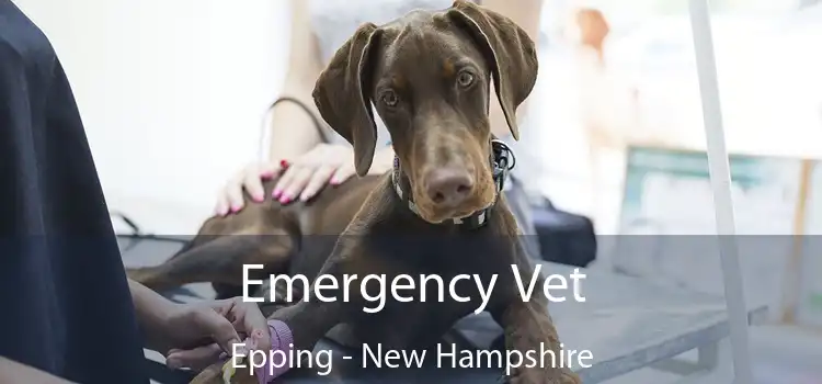 Emergency Vet Epping - New Hampshire