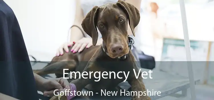 Emergency Vet Goffstown - New Hampshire