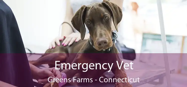 Emergency Vet Greens Farms - Connecticut