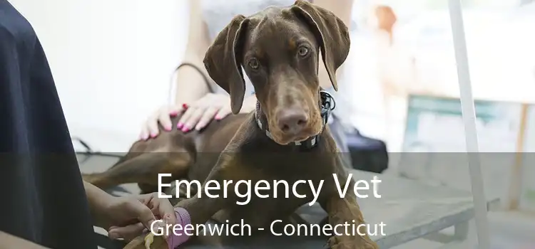 Emergency Vet Greenwich - Connecticut