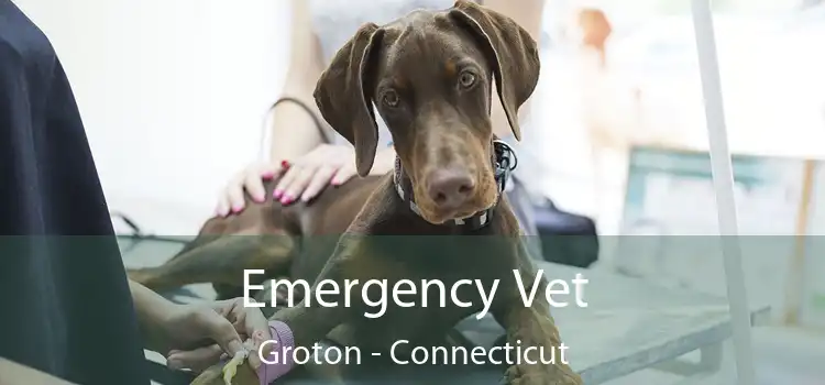 Emergency Vet Groton - Connecticut