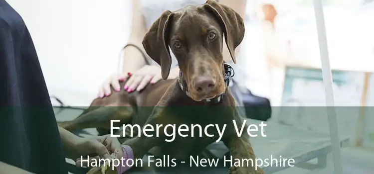 Emergency Vet Hampton Falls - New Hampshire