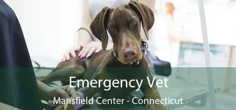 Emergency Vet Mansfield Center - Connecticut