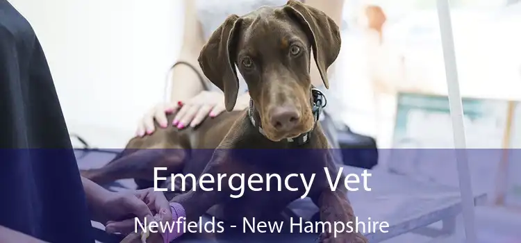 Emergency Vet Newfields - New Hampshire