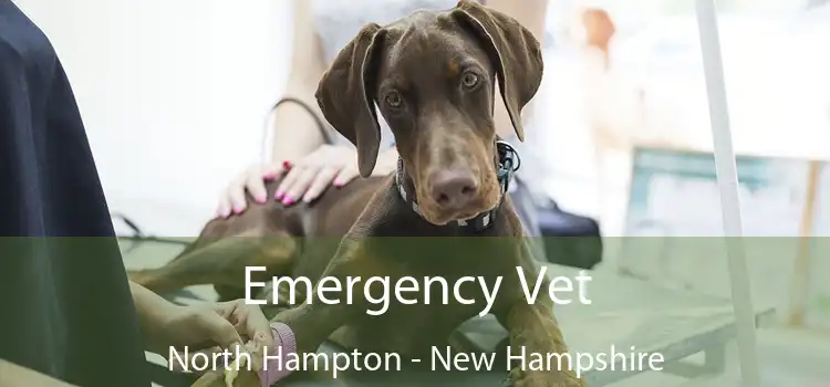 Emergency Vet North Hampton - New Hampshire