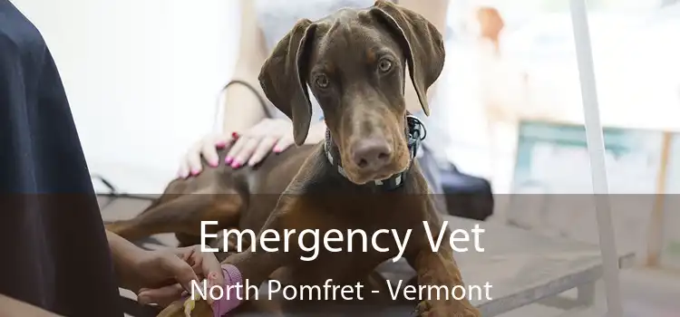 Emergency Vet North Pomfret - Vermont