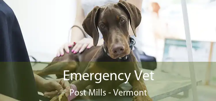 Emergency Vet Post Mills - Vermont