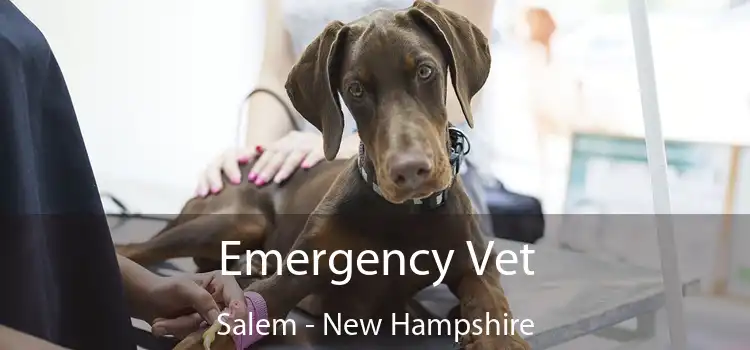 Emergency Vet Salem - New Hampshire