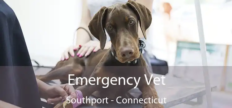 Emergency Vet Southport - Connecticut