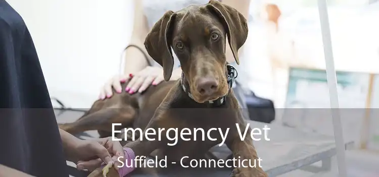 Emergency Vet Suffield - Connecticut