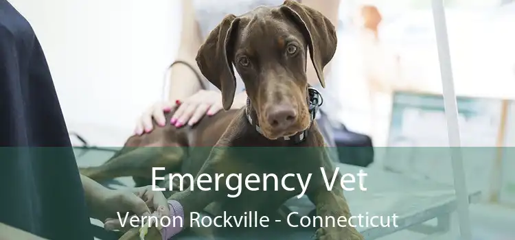 Emergency Vet Vernon Rockville - Connecticut