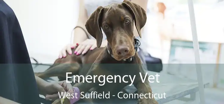 Emergency Vet West Suffield - Connecticut