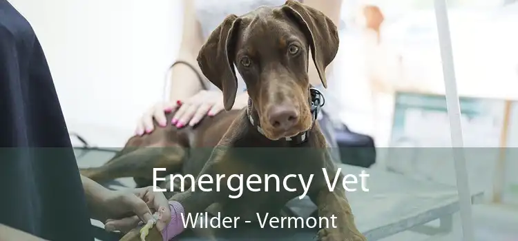 Emergency Vet Wilder - Vermont