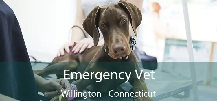 Emergency Vet Willington - Connecticut