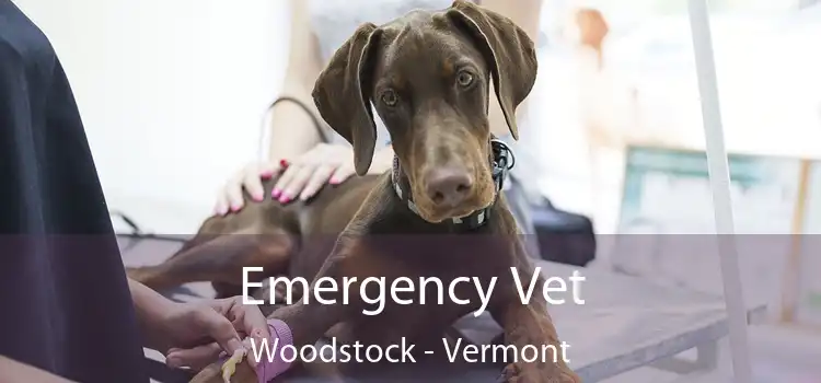 Emergency Vet Woodstock - Vermont