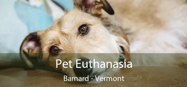 Pet Euthanasia Barnard - Vermont