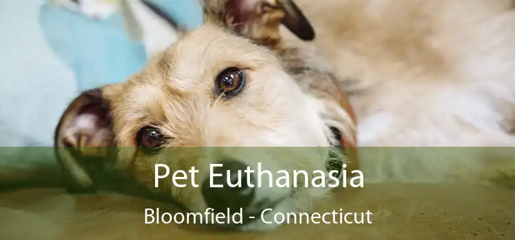 Pet Euthanasia Bloomfield - Connecticut