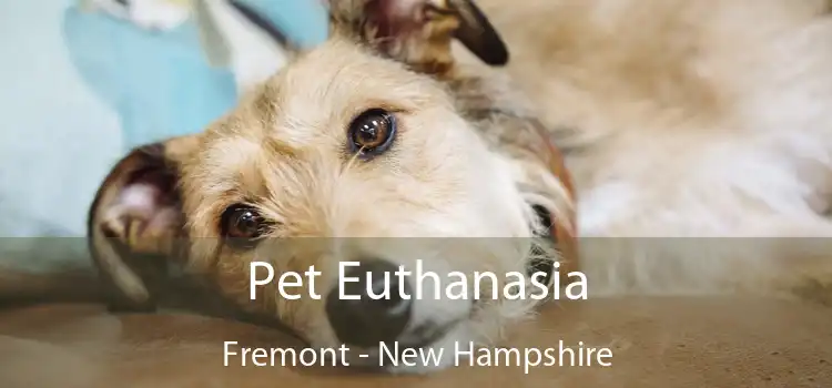 Pet Euthanasia Fremont - New Hampshire