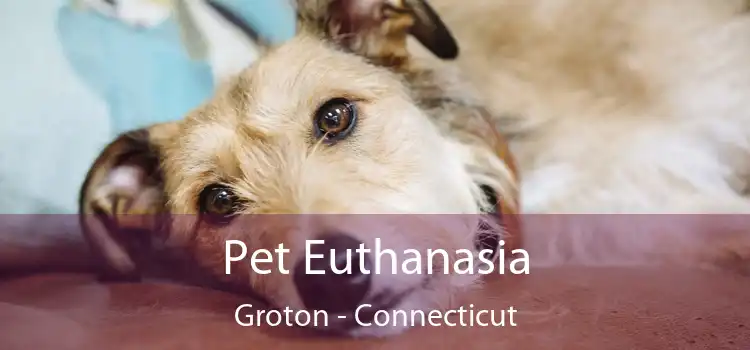 Pet Euthanasia Groton - Connecticut