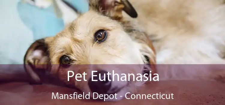 Pet Euthanasia Mansfield Depot - Connecticut