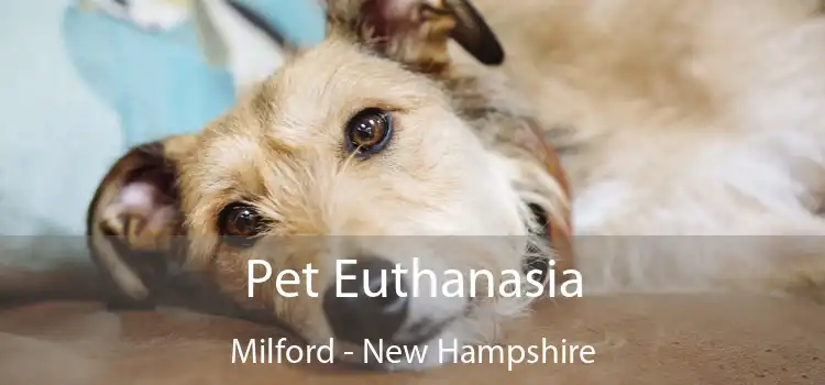 Pet Euthanasia Milford - New Hampshire