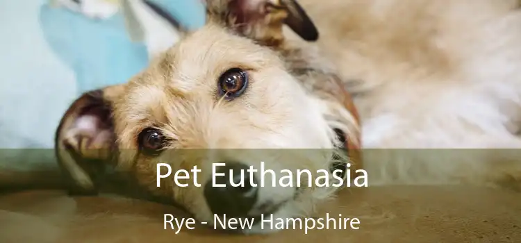 Pet Euthanasia Rye - New Hampshire