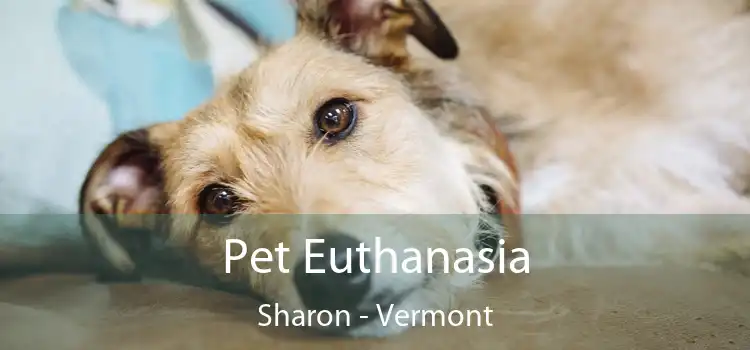 Pet Euthanasia Sharon - Vermont